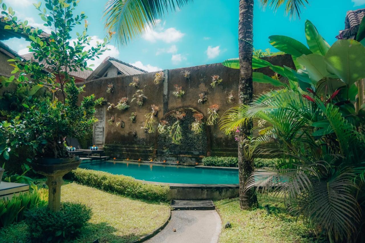 The Alus Cottage And Villa أوبود المظهر الخارجي الصورة