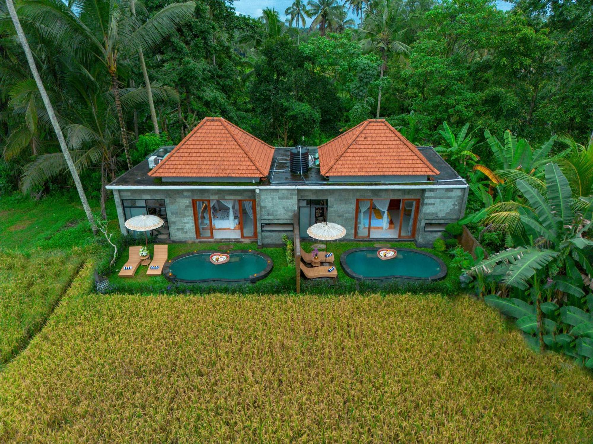 The Alus Cottage And Villa أوبود المظهر الخارجي الصورة